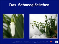 Schneegloeckchen.pdf